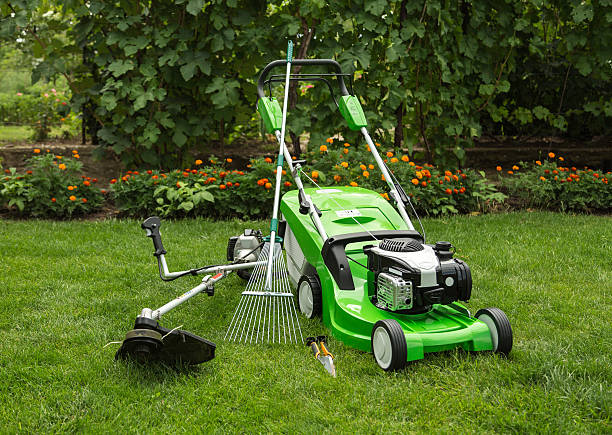 LAWN AND GARDEN EQUIPMENTS category